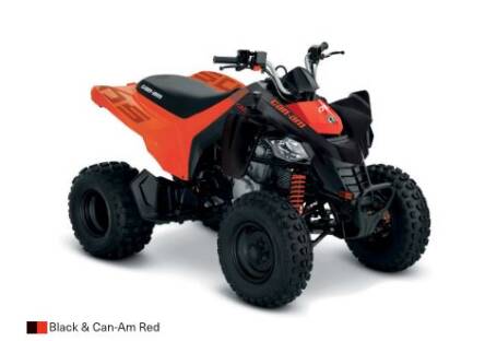 Can-Am DS 250 2025