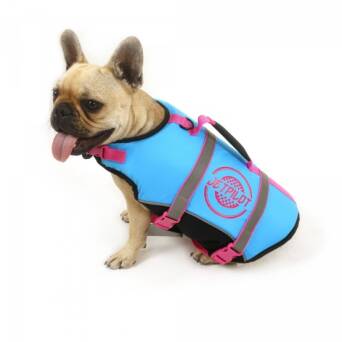 KAMIZELKA DLA PSA JETPILOT  DOG VEST BLUE M